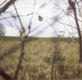 hood-thecycleofdaysandseasons