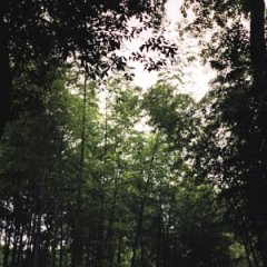 sonna-smileandtheworldsmileswithyou 